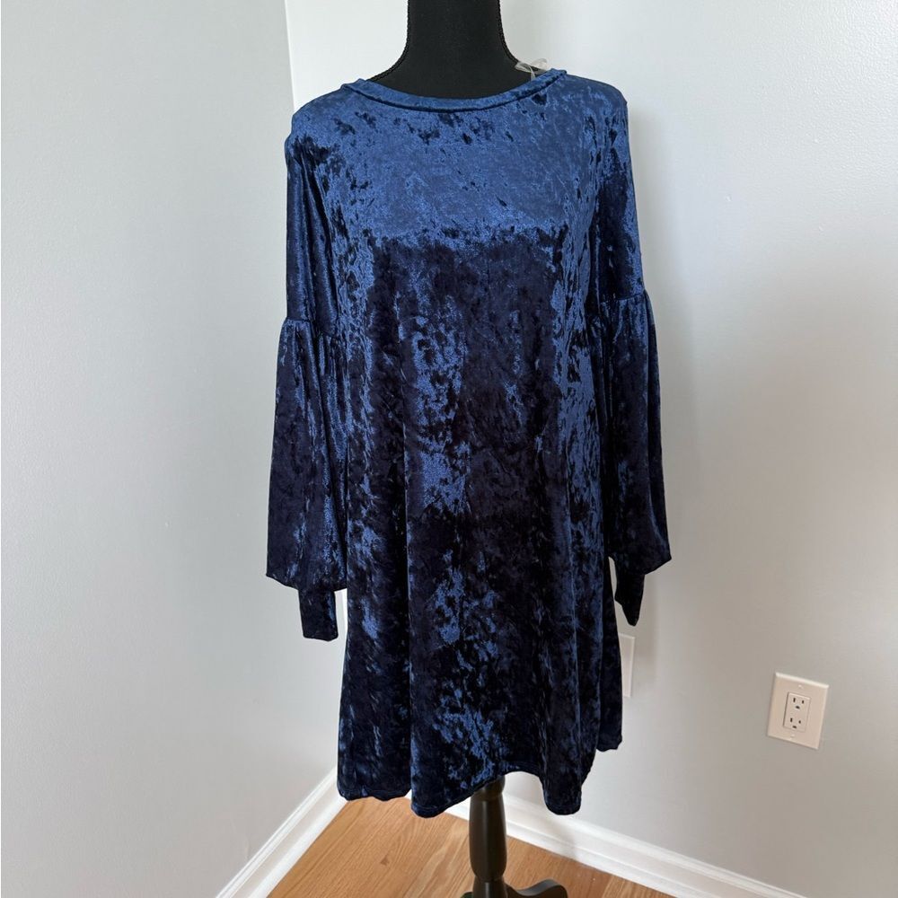 Elegant Blue Velvet Dress by C. Christian
